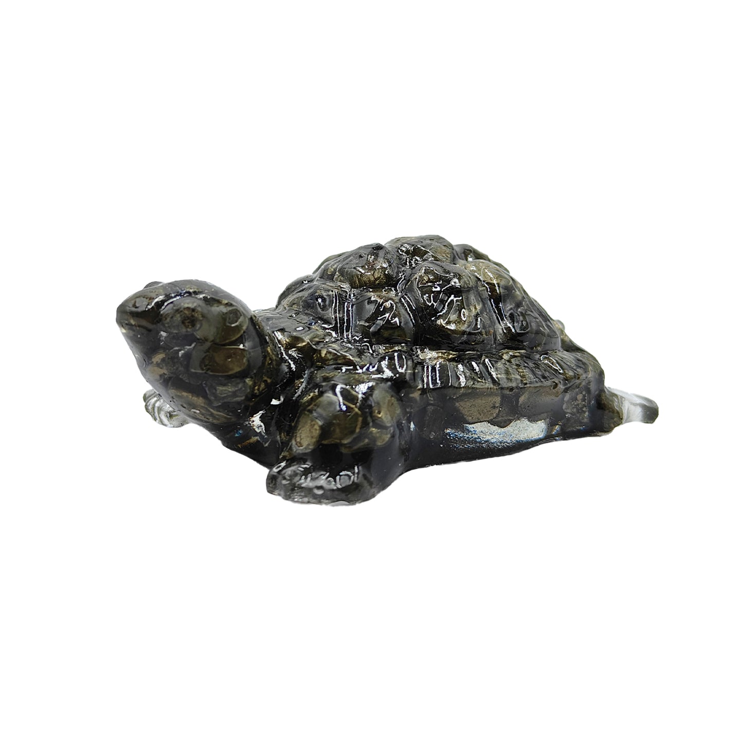 Pyrite Turtle (Kacchua)