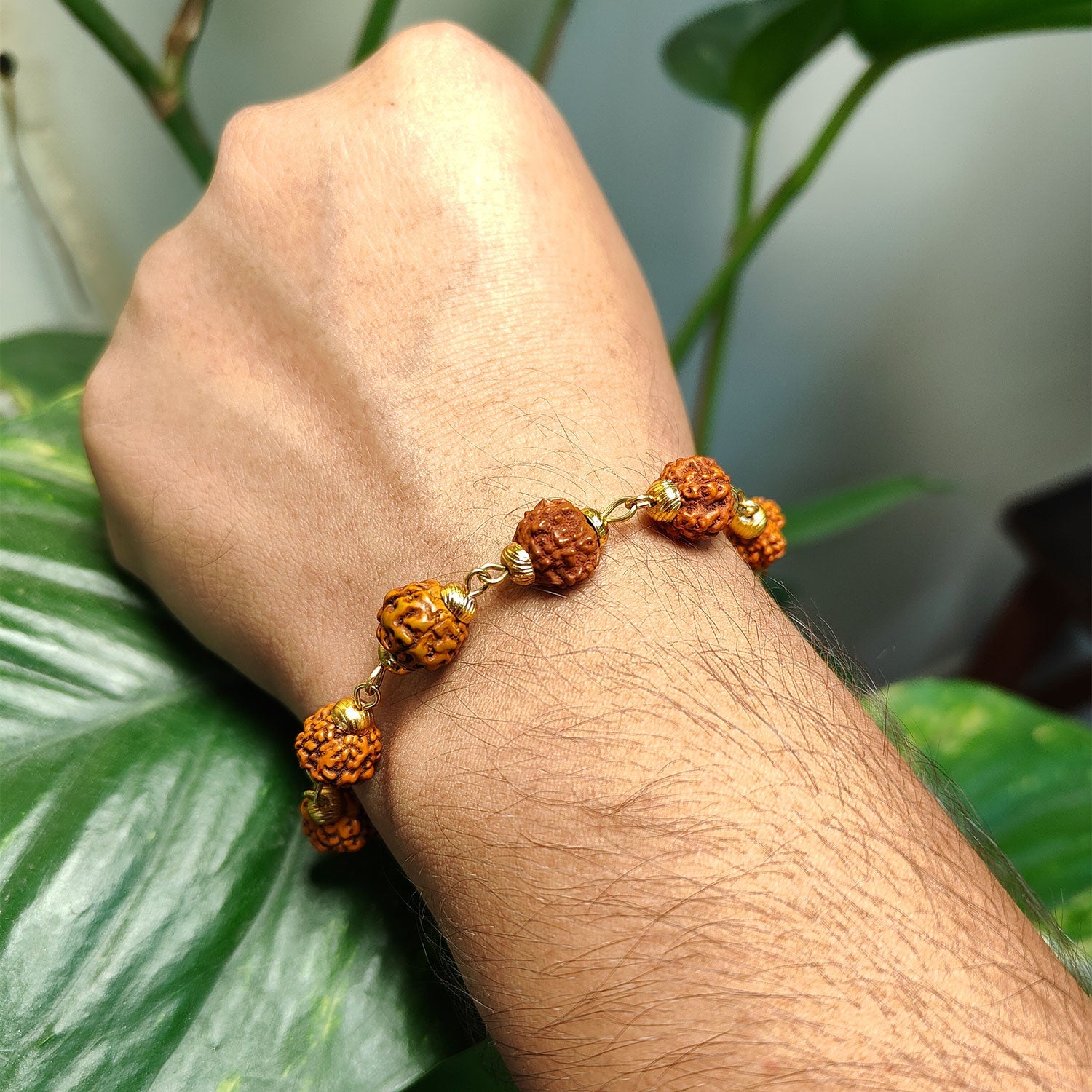 Rudraksha