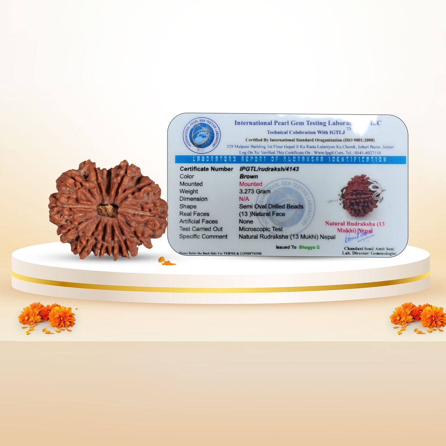 Nepali 13 Mukhi Rudraksha (Lab Certified)