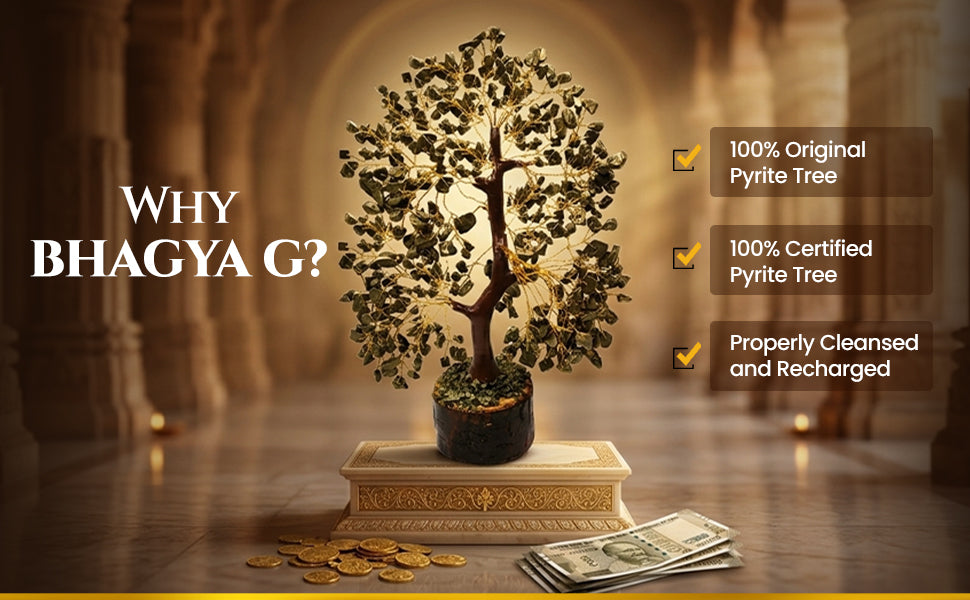 BhagyaG