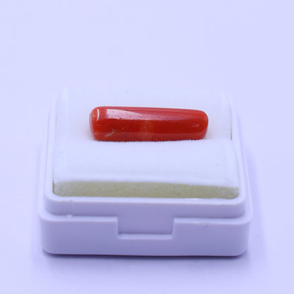 Natural red coral stone for Mars energy and protection 
