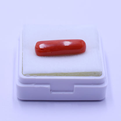 Natural red coral stone for Mars energy and protection 