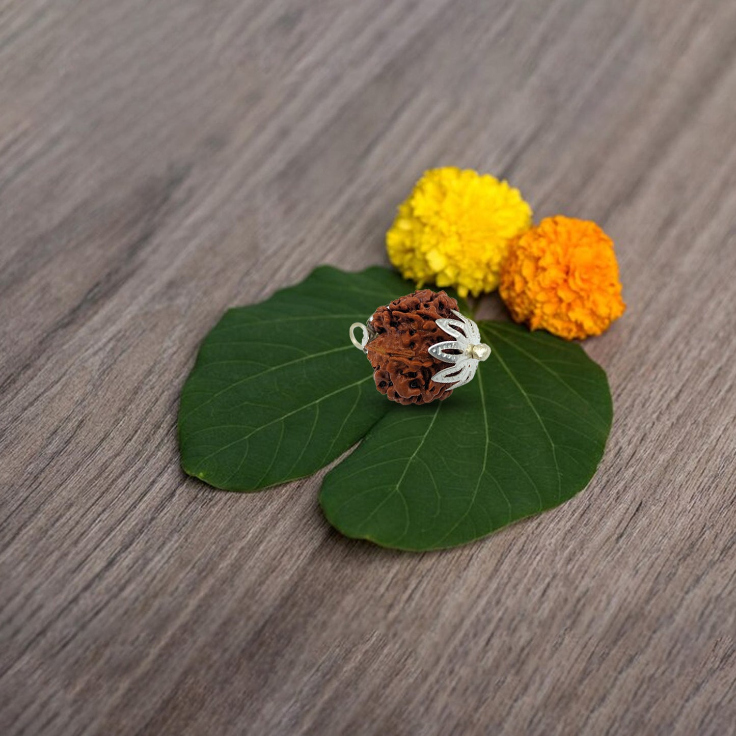 Nepali 7 Mukhi Rudraksha (Lab Certified)