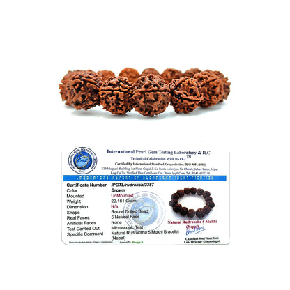 Divine 5 Mukhi Rudraksha Bracelet – The Powerful Energy of Lord Shiva (Nepali, Lab Certified)