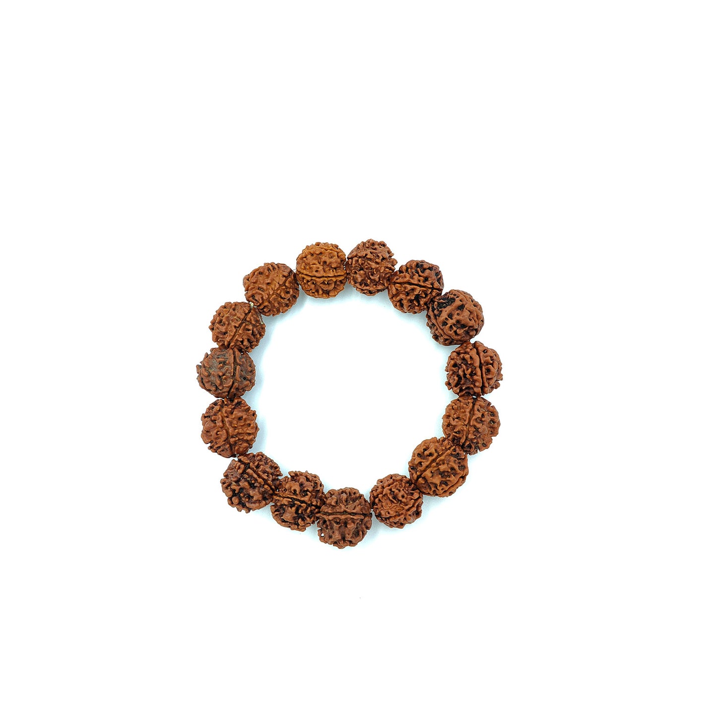 Divine 5 Mukhi Rudraksha Bracelet – The Powerful Energy of Lord Shiva (Nepali, Lab Certified)
