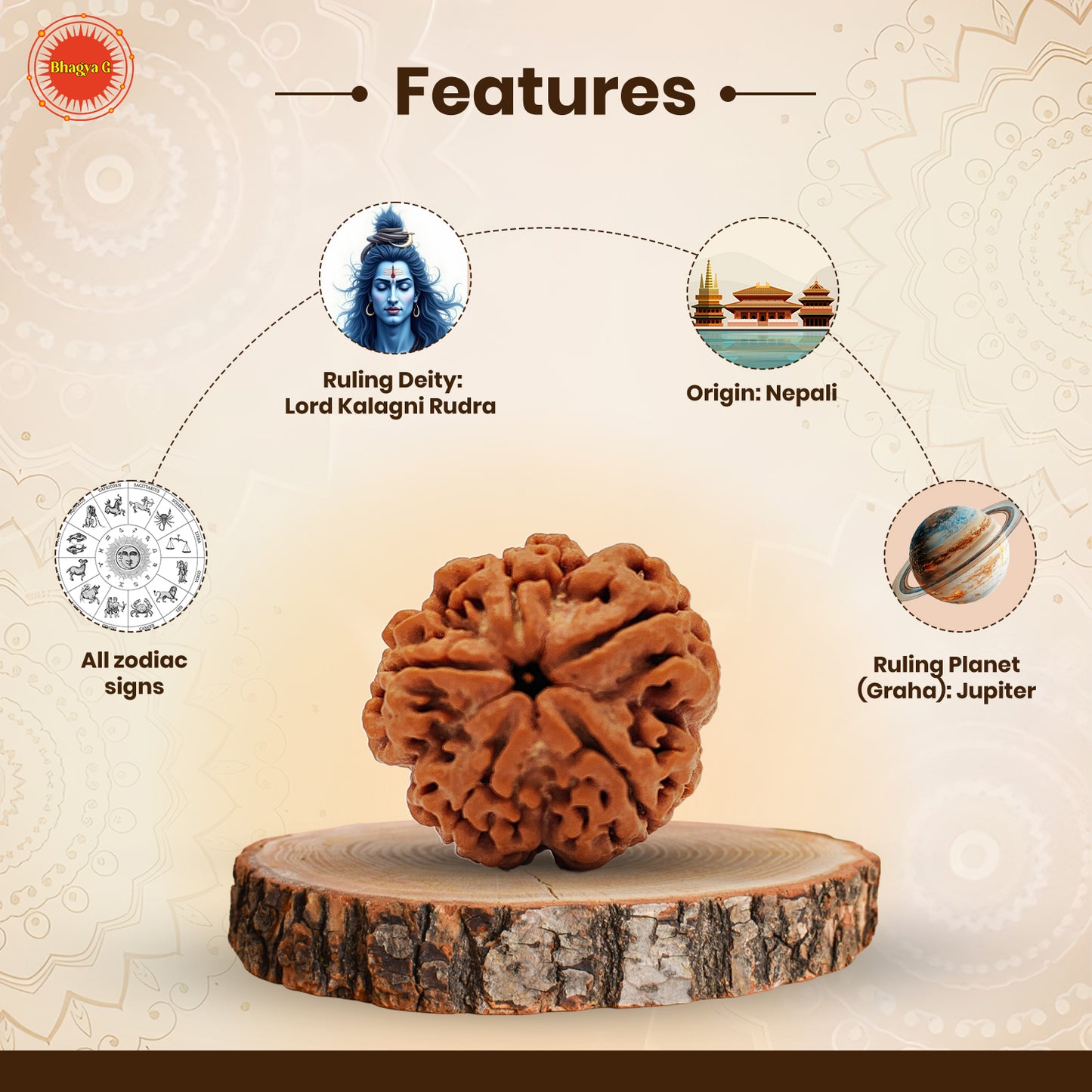 Meditation Rudraksha