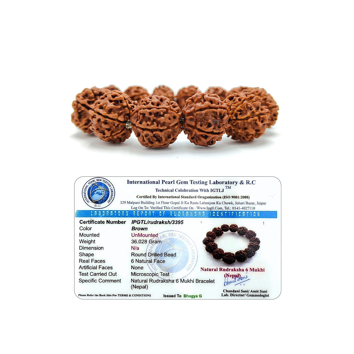 Confidence Rudraksha Bracelet
