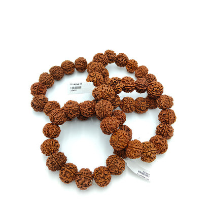 Divine 6 Mukhi Rudraksha Wisdom Bracelet (Nepali)