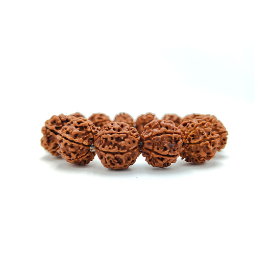 6 Mukhi Rudraksha Bracelet