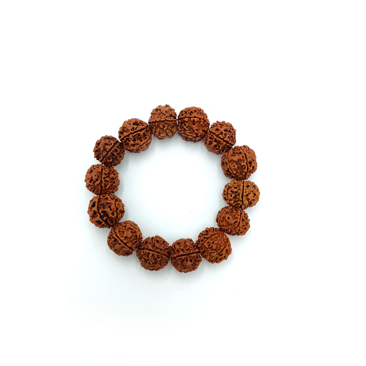 BhagyaG 6 Mukhi Rudraksha