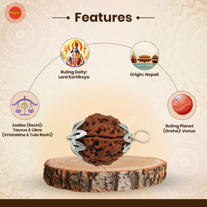 6 முக ருத்ராட்சம் (நேபாளி) உடல்நலம், செல்வம் மற்றும் வெற்றிக்கானது