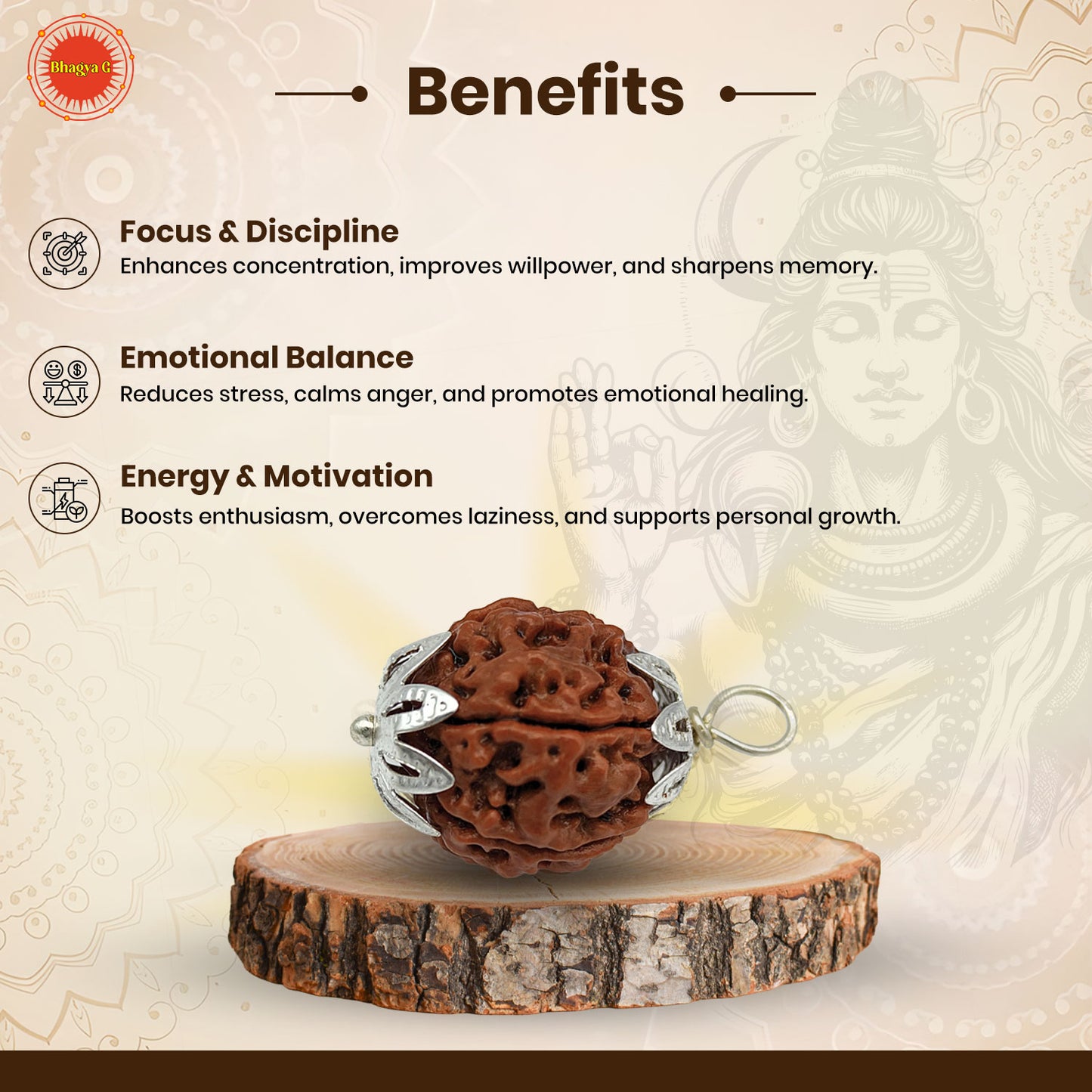 6 முக ருத்ராட்சம் (நேபாளி) உடல்நலம், செல்வம் மற்றும் வெற்றிக்கானது
