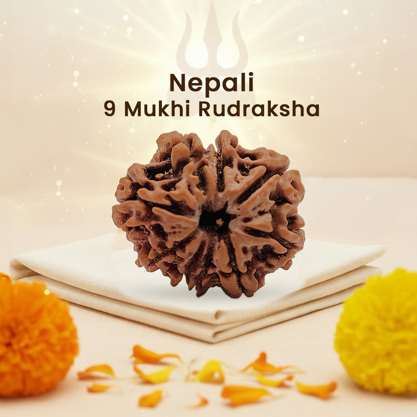 Nepali 9 Mukhi Rudraksha (Lab Certified)