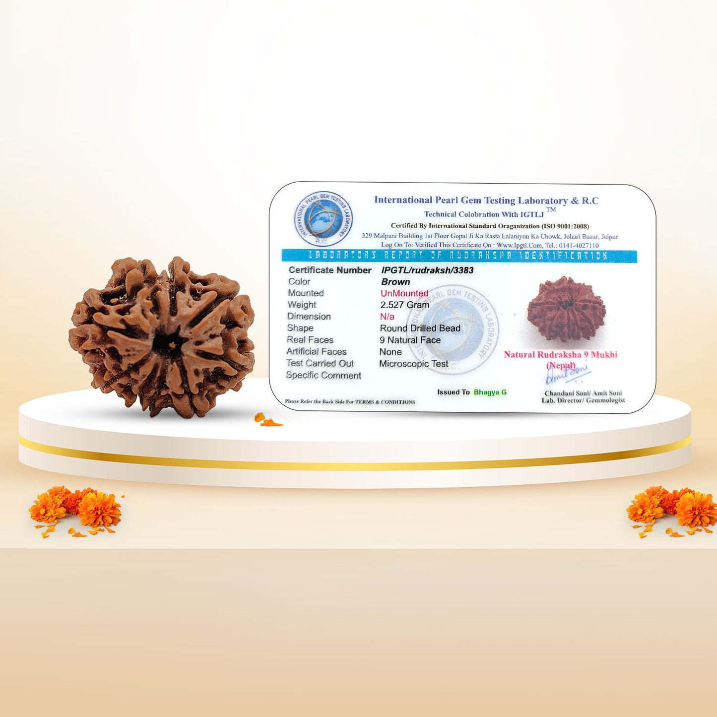 Nepali 9 Mukhi Rudraksha (Lab Certified)