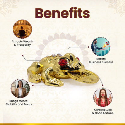 Wealth Frog Idol