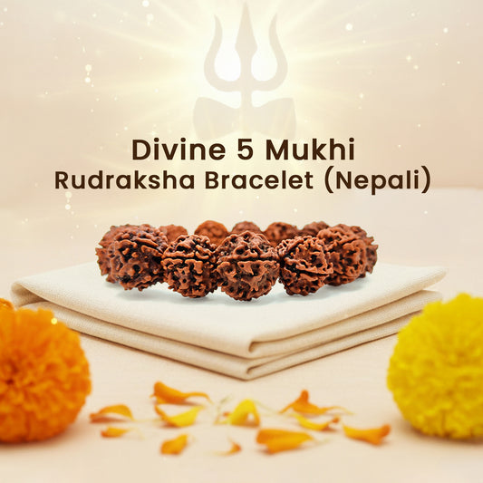 Divine 5 Mukhi Rudraksha Bracelet (Nepali)