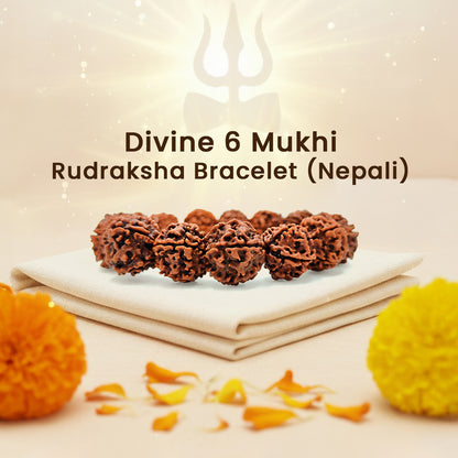 Divine 6 Mukhi Rudraksha Wisdom Bracelet (Nepali)