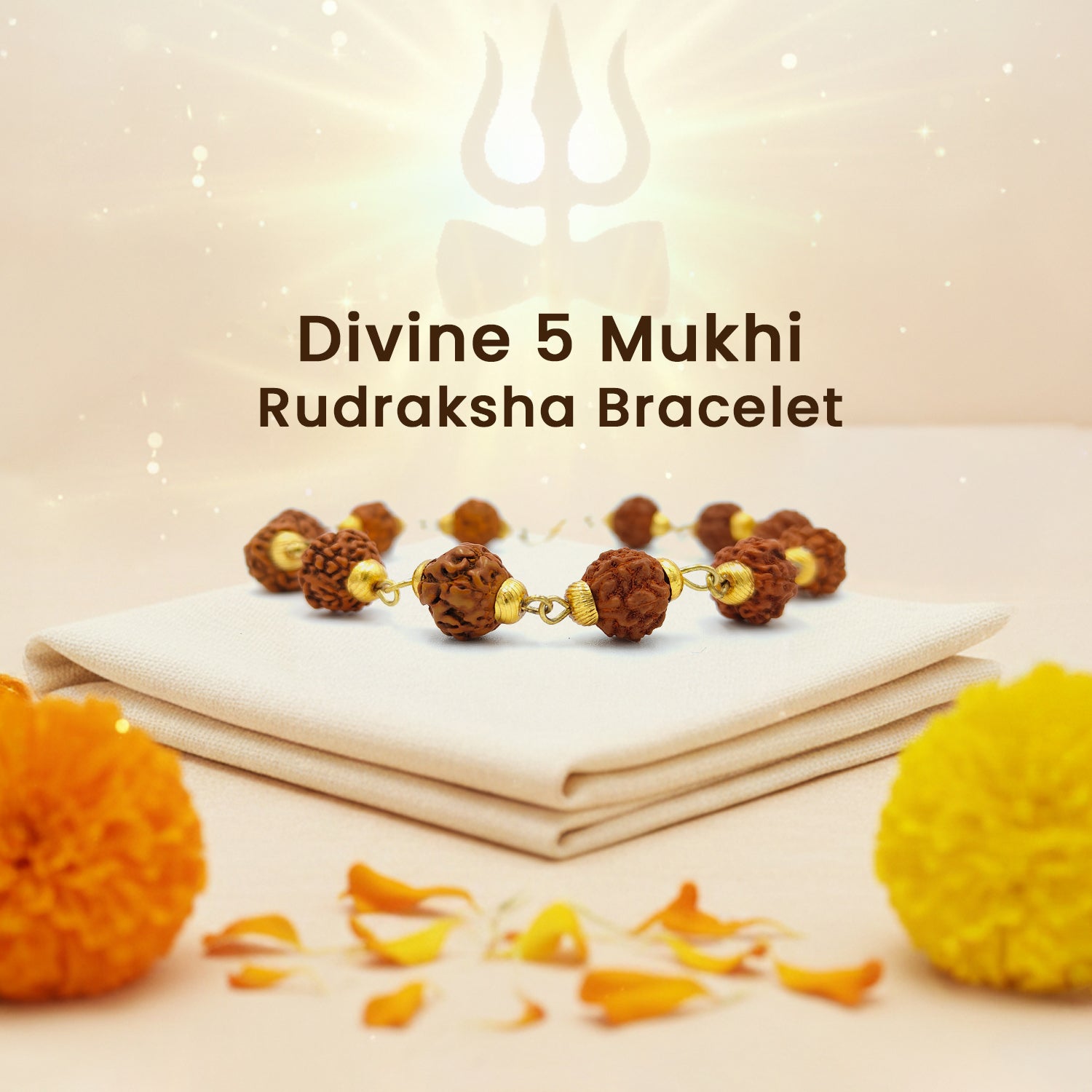 Divine 5 Mukhi Rudraksha Bracelet 