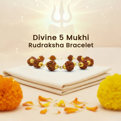 Divine 5 Mukhi Rudraksha Bracelet 
