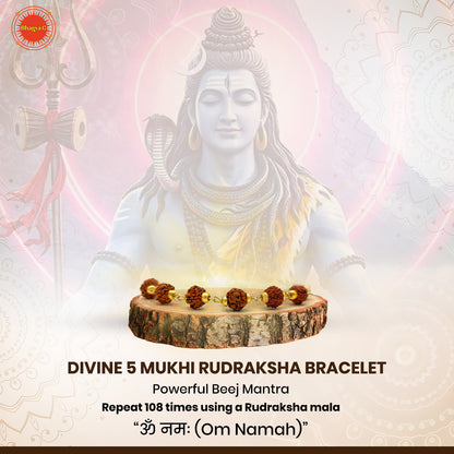 Original 5 Mukhi Rudraksha Bracelet 