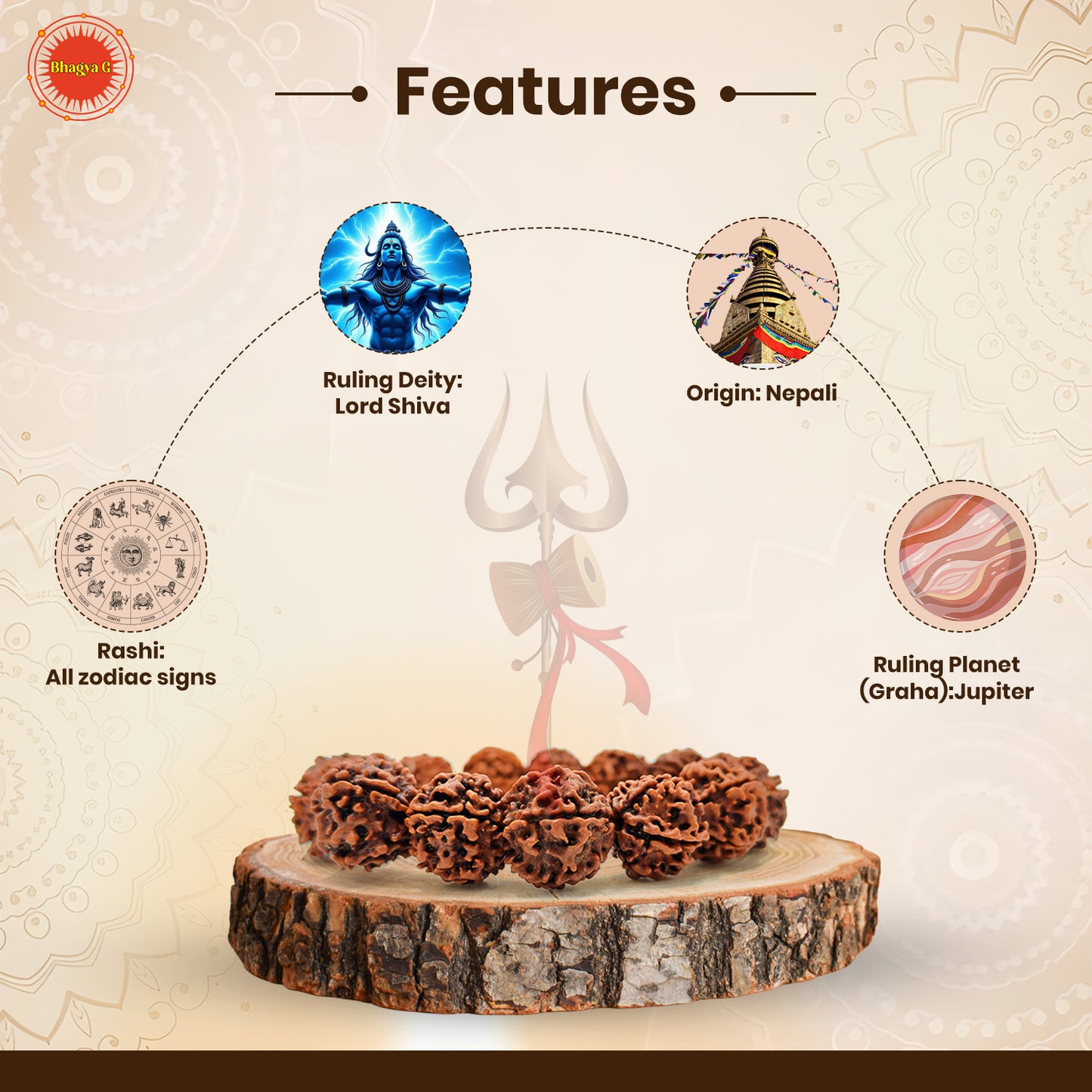 Divine 5 Mukhi Rudraksha Bracelet – The Powerful Energy of Lord Shiva (Nepali, Lab Certified)