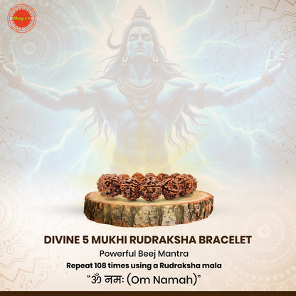 Divine 5 Mukhi Rudraksha Bracelet – The Powerful Energy of Lord Shiva (Nepali, Lab Certified)