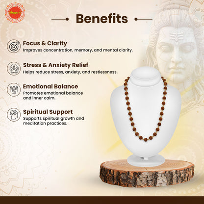 Lord Shiva Rudraksha Mala 