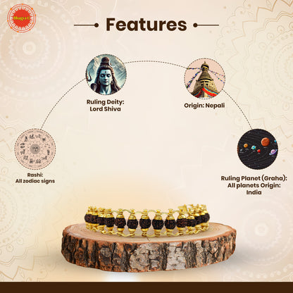 Brass Chain Rudraksha Bracelet