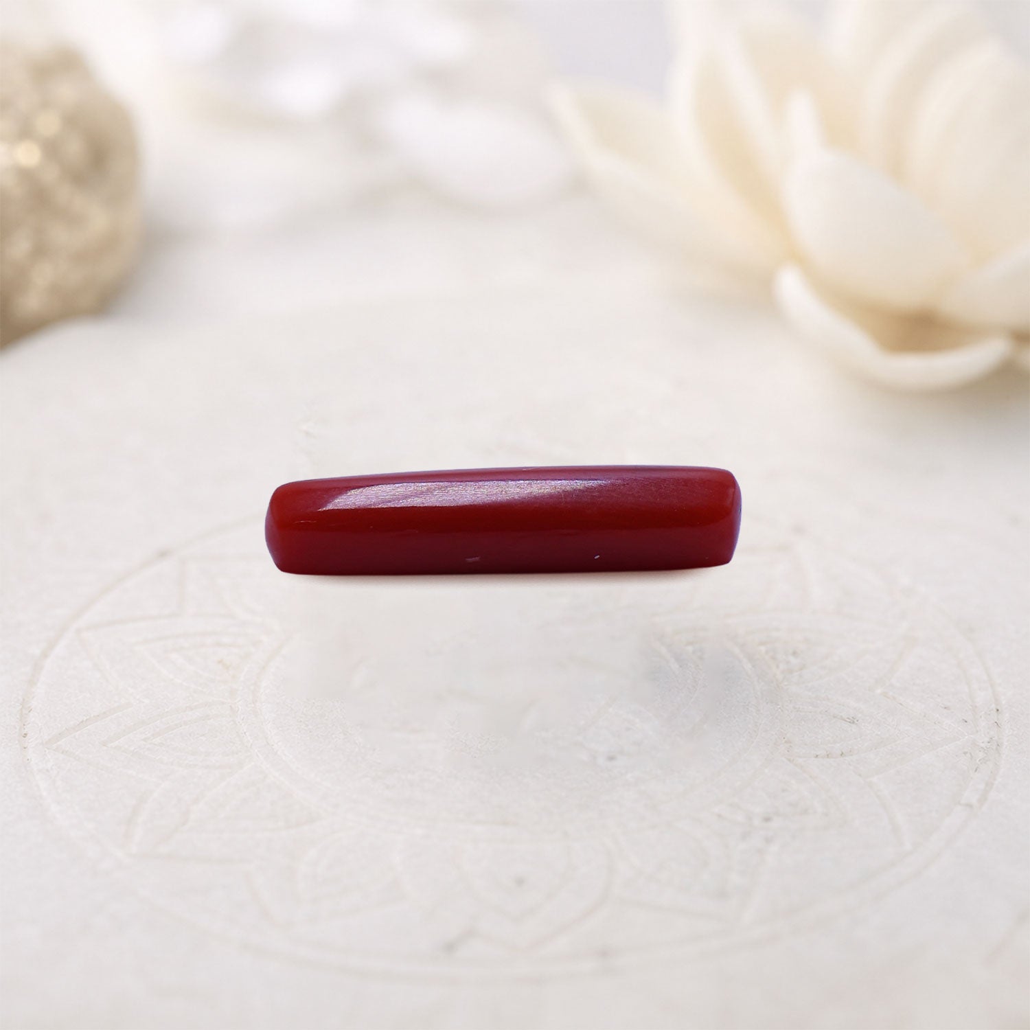 coral gemstone collection for astrology and healing 
