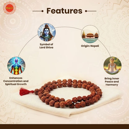 Nepali Rudraksha Mala (54 Beads)