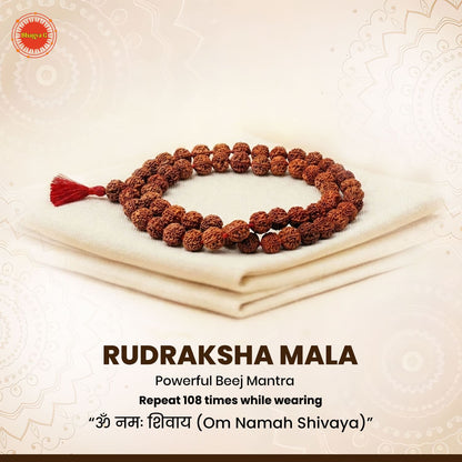 Nepali Rudraksha Mala (54 Beads)