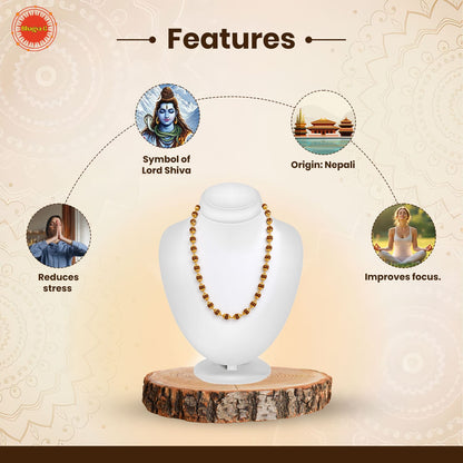 Premium Gold Plated Rudraksha Mala