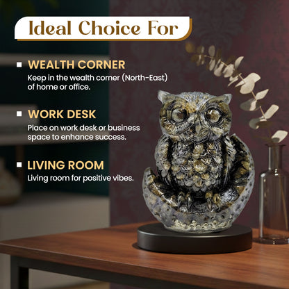 Healing Pyrite Owl BhagyaG