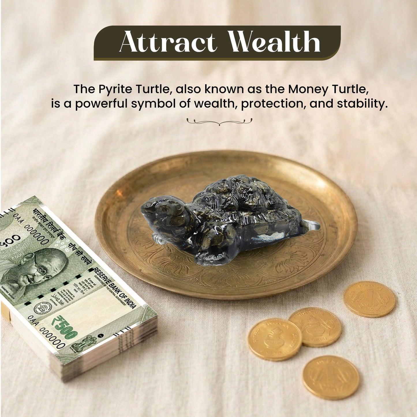 Pyrite Turtle (Kacchua)