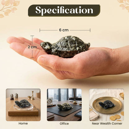 Pyrite Turtle (Kacchua)
