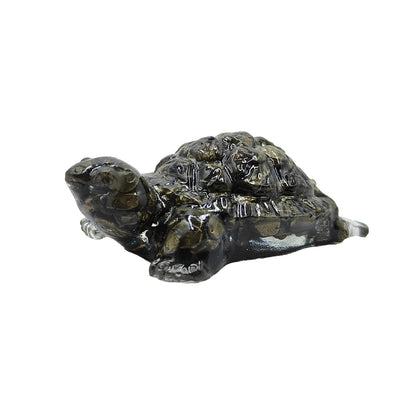 Pyrite Turtle (Kacchua)