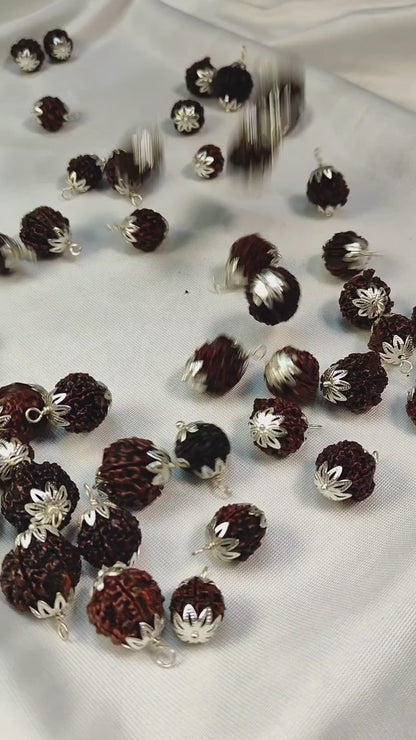 Nepali 7 Mukhi Rudraksha (Lab Certified)