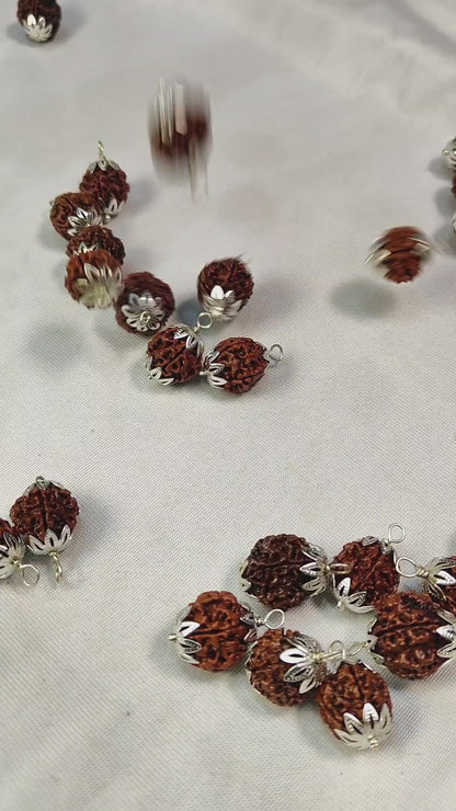 Nepali 6 Mukhi Rudraksha (Lab Certified)